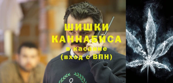 индика Алзамай
