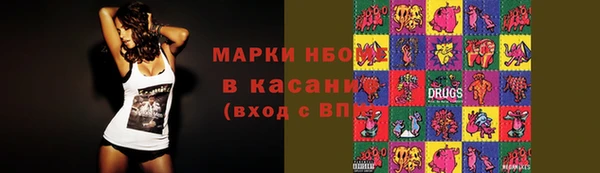 индика Алзамай