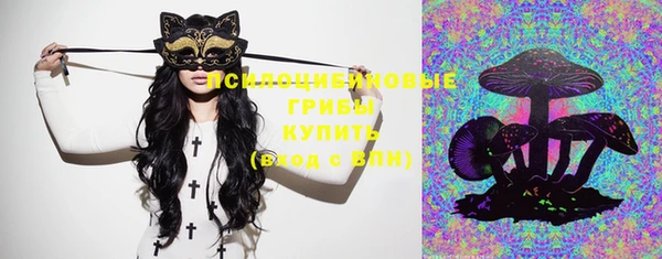 индика Алзамай